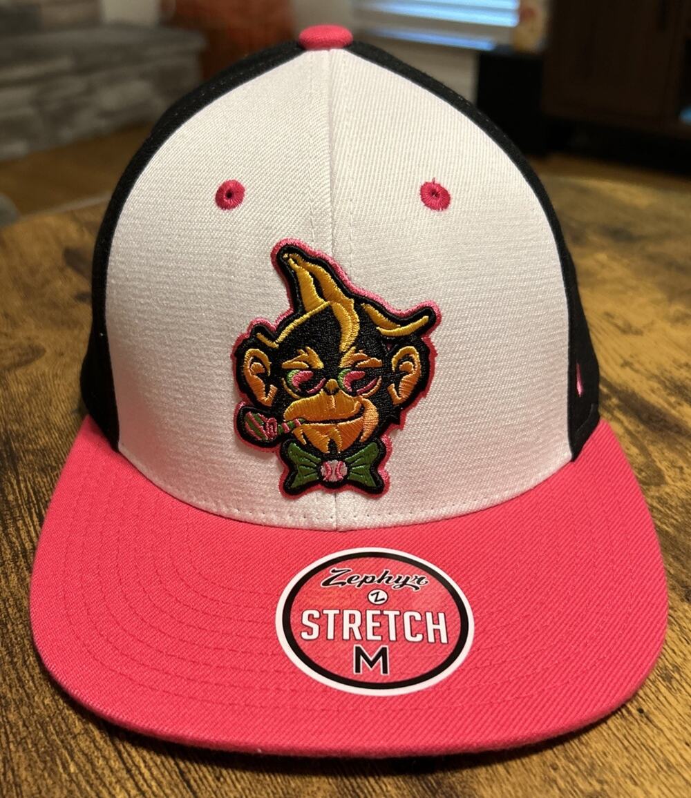 Zephyr Party Animals Baseball Hat Size M Stretch New